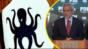 Detienen a 34 miembros de la banda criminal 'Los Pulpos': Varios eran extranjeros con residencia permanente en Chile