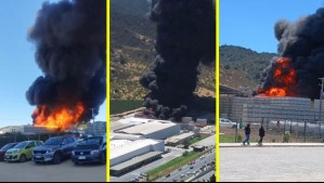 Gran incendio afecta a planta procesadora de frutas y verduras en Las Cabras: Bomberos de O'Higgins y la RM atienden la emergencia
