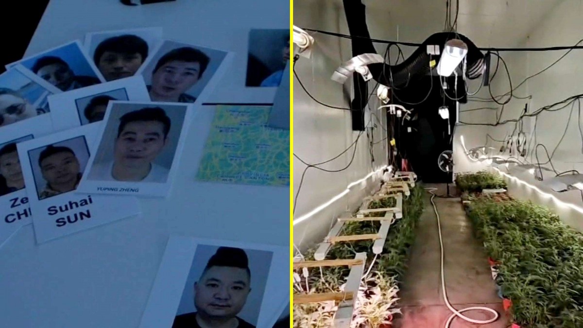 Las huellas de la 'Bang de Fujian': Así operan las peligrosas mafias chinas en Chile