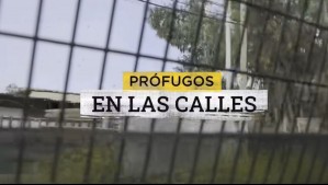 Prófugos en las calles: Circulan libremente pese a órdenes de detención