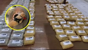 PDI encuentra más de 370 kilos de droga en un camión: Rampa del vehículo tenía una modificación para esconder las sustancias