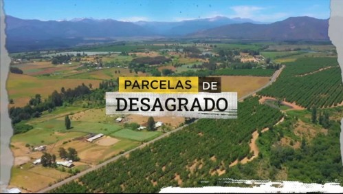 Parcelas de desagrado: Casi 700 familias denuncian estafa de $5 mil millones tras comprar 'terrenos fantasma'