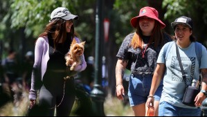 'Será un poquito más fresco el despertar': El pronóstico del tiempo para este miércoles 11 de febrero en Santiago