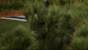 Una cifra considerable: ¿Cuánto ganaron las personas que se disfrazaron de plantas en el show de Bad Bunny?