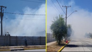 Incendio en pastizales presenta peligro de propagación en Renca