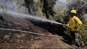Senapred llama a evacuar sector de la región de Valparaíso por incendio forestal