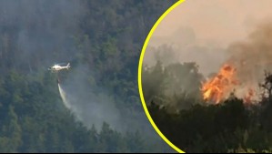 Incendio en Ninhue deja 225 hectáreas afectadas: 'Nos duele el alma que se esté quemando bosque nativo'