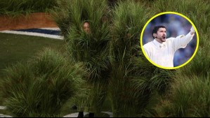 ¿Cuánto ganaron las personas que se disfrazaron de plantas en el show de Bad Bunny en el Super Bowl?: Más de...