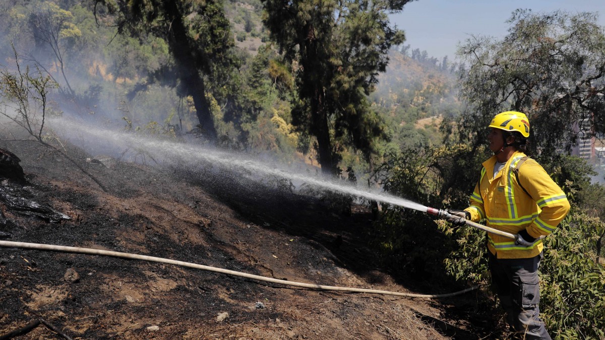 Alerta Roja por incendio forestal en Linares y San Fernando: Reportan humo en la Ruta 5
