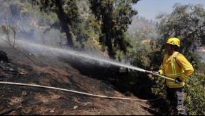 Alerta Roja por incendio forestal en Linares y San Fernando: Reportan humo en la Ruta 5