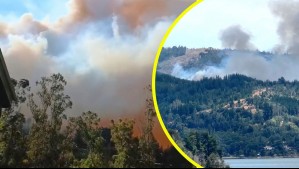 Llaman a evacuar sector de Vichuquén por incendio forestal: Senapred decretó Alerta Roja