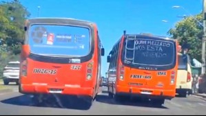 Carreras, exceso de velocidad y peleas entre conductores: Los peligros de viajar en micros de la región de Valparaíso