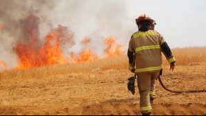 Senapred solicita evacuar dos sectores de Vichuquén por incendio forestal