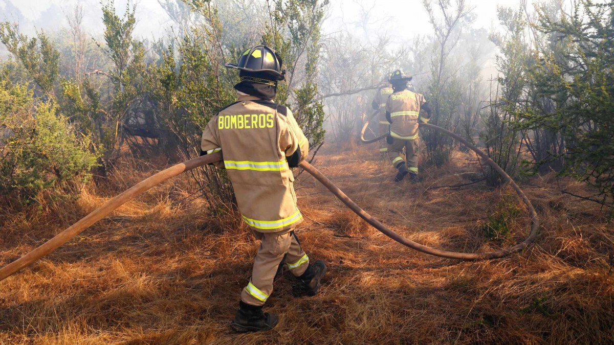 Incendios forestales: Revisa las solicitudes de evacuación emitidas por Senapred