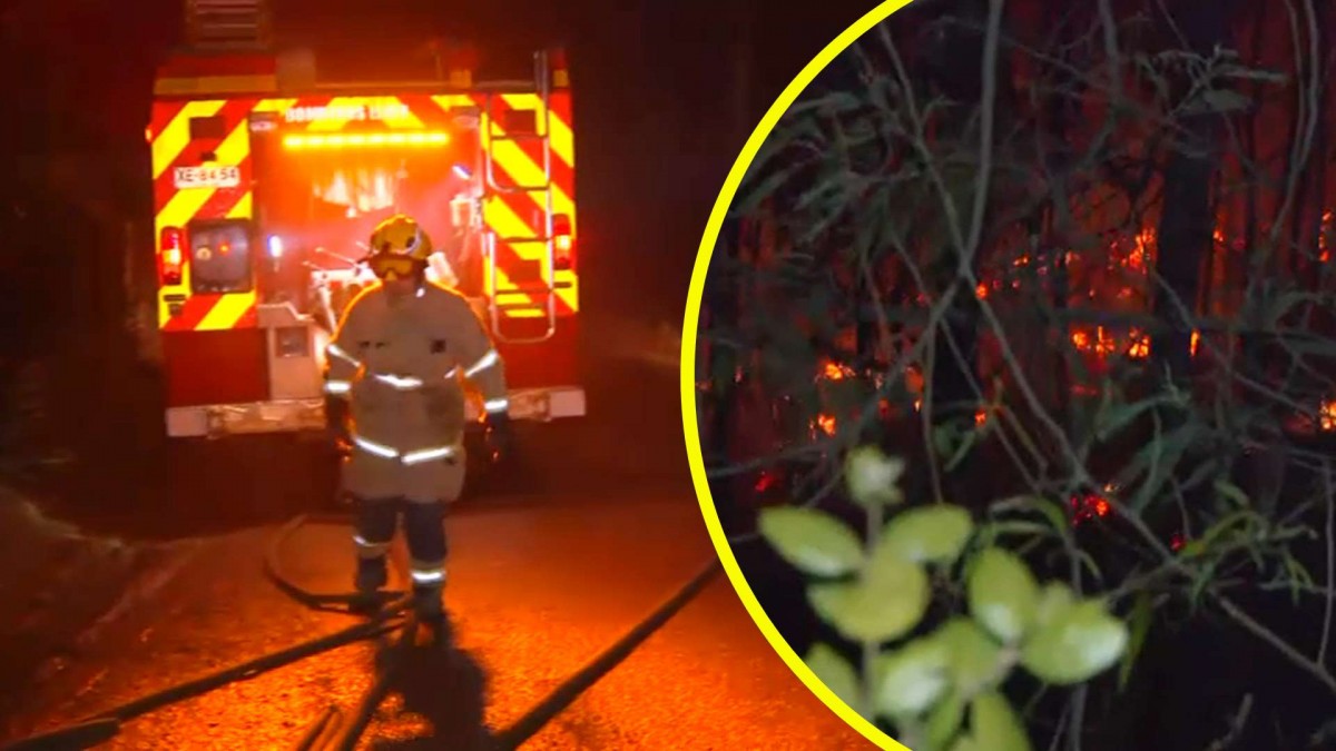 Avanza incendio en Vichuquén en medio de alerta por calor extremo en la zona