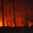 Se mantiene la Alerta Roja en Vichuquén, por un incendio forestal que ha consumido 380 hectáreas. Se han reportado tres viviendas quemadas y dos brigadistas lesionados, quienes ya han sido dados de alta.