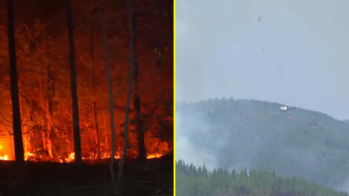 Sigue Alerta Roja en Vichuquén por incendio forestal: Van 380 hectáreas consumidas