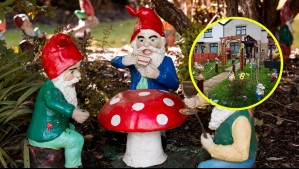 'Es una vergüenza para la zona': Vecinos denuncian a pareja por decorar su jardín con 30 gnomos