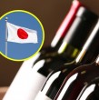 Conoce detalles sobre la decisión que tomó una empresa japonesa al retirar unidades de vinos chilenos del mercado por contener un aditivo no aprobado en dicho país.