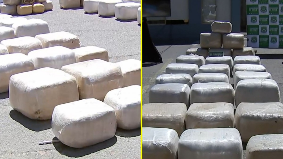 Incautan más de mil kilos de marihuana transportados de Antofagasta al Biobío: Investigan coordinación desde la cárcel
