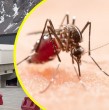 El Paso Cristo Redentor cerrará temporalmente desde este jueves 19 de febrero tras el hallazgo de un mosquito adulto sospechoso del vector Aedes Aegypti. Revisa horarios de suspensión y reapertura del tránsito.