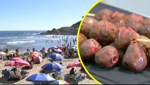 ¿Tienen realmente chocolate?: Detrás de la polémica en torno a las frutillas de playa
