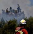 En la jornada de este miércoles, un incendio forestal forestal afectó a Lampa, provocando que se declarara Alerta Roja en la comuna y se solicitara la evacuación de la comunidad La Resilensia.