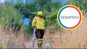 Incendios forestales: Llaman a evacuar un sector de la comuna de Victoria y declaran Alerta Roja en Valdivia