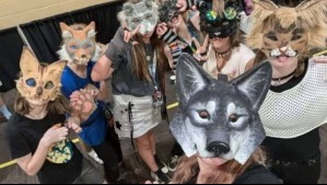 'No concebimos convertir la Plaza Central en un zoológico': Ciudades de Honduras prohíben eventos 'Therian' en espacios públicos