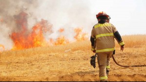 Senapred solicita evacuar dos sectores en la región del Ñuble por incendio forestal