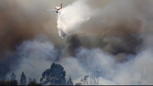 Incendios forestales: Revisa las solicitudes de evacuación emitidas hasta el momento por Senapred