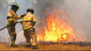 Más de 4.200 hectáreas consumidas: Senapred entrega balance por incendios forestales en región del Maule