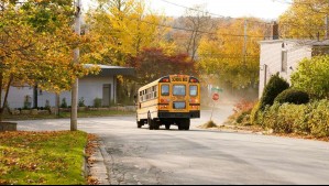 Sernatur ofrece subsidios para giras de estudio: ¿Qué colegios pueden postular?