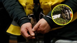 Brutal caso de maltrato animal: Hombre en estado de ebriedad ataca con una motosierra a un perro en Los Ángeles