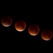 Este martes 3 de marzo se vivirá un nuevo evento astronómico relevante a nivel mundial: un eclipse lunar o popularmente llamado luna de sangre se verá en diversas partes del planeta.