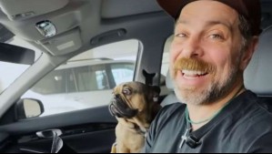 'Hasta siempre amor mío': Fallece Frodo, el perro más regalón de José Antonio Neme