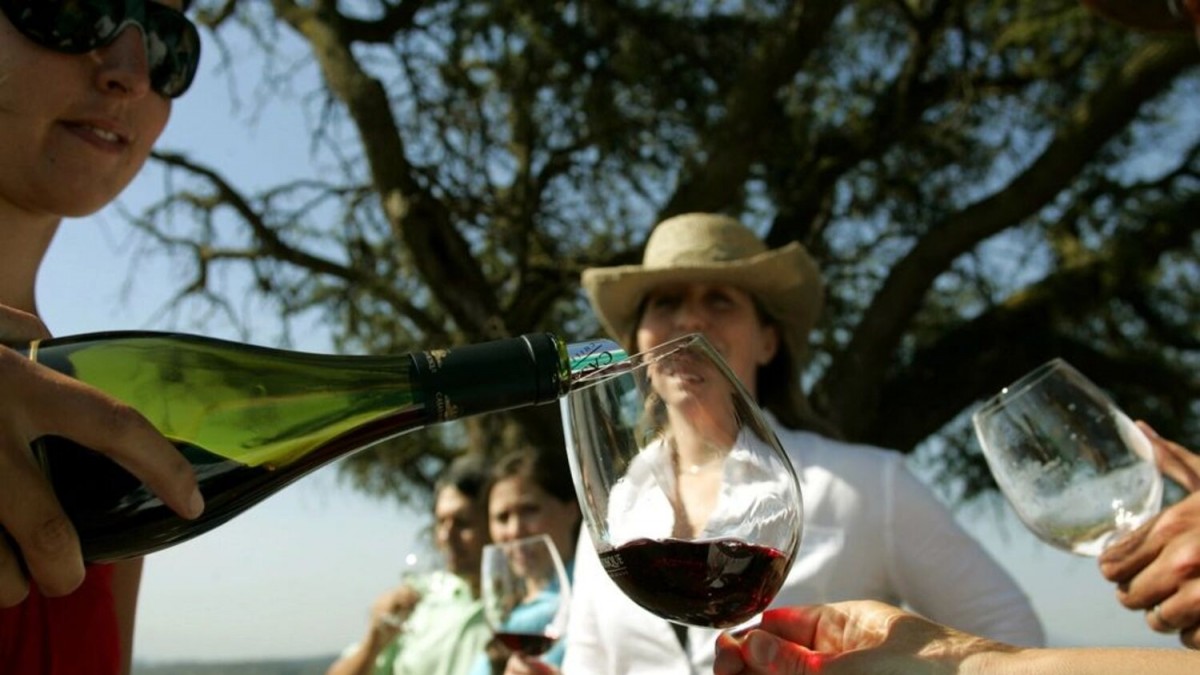 Seis productos chilenos que están conquistando el mundo