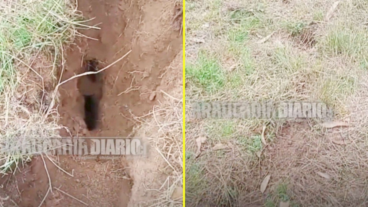 Extraño fenómeno en La Araucanía: Denuncian aparición de profunda 'fractura' en la tierra