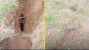 Extraño fenómeno en La Araucanía: Denuncian aparición de profunda 'fractura' en la tierra