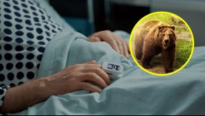 Podría ser el primer caso del mundo: La extraña infección de hombre tras encuentro con oso