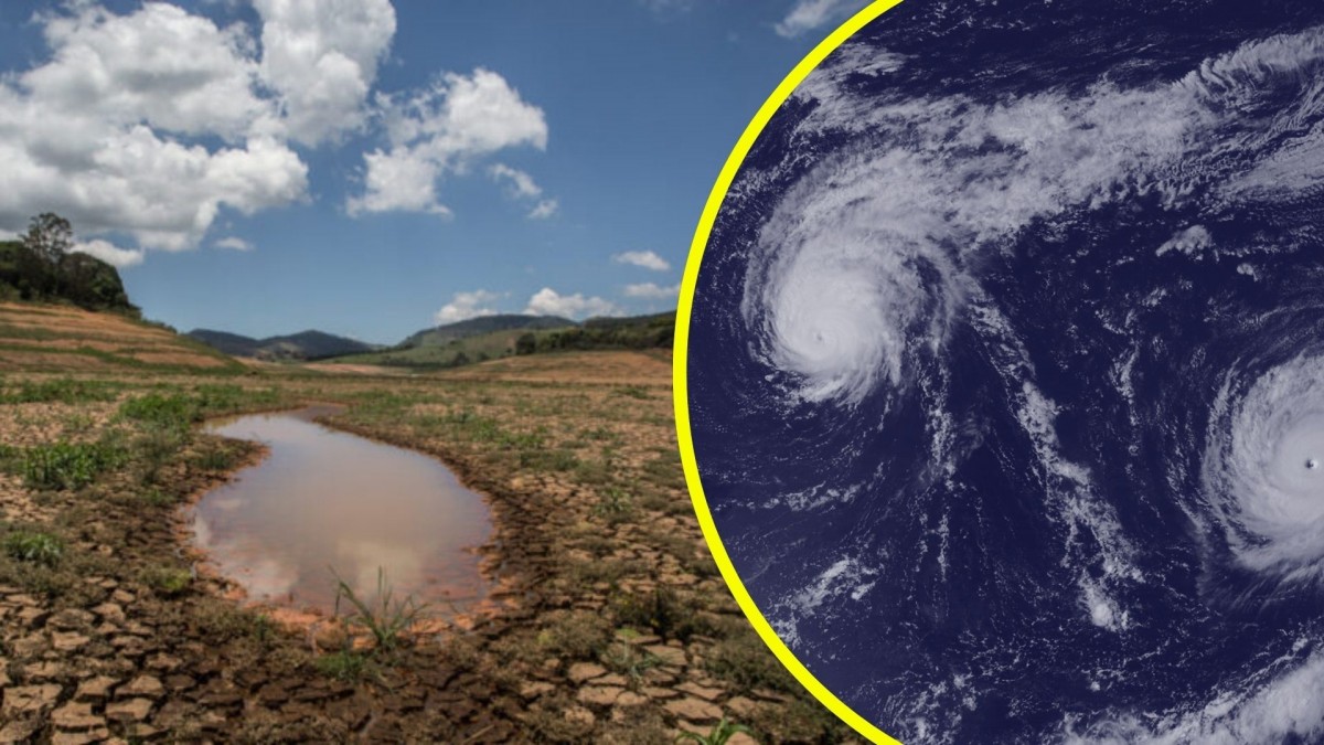Se aproxima el fenómeno de El Niño: Jaime Leyton adelanta cómo podría afectar en Chile