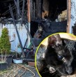 Fred, un gato de nueve meses, despertó a su dueño en medio de un incendio y le salvó la vida. Aunque Donald logró escapar, el felino no sobrevivió. Una historia conmovedora desde Oregon, Estados Unidos.