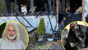 'Me salvó la vida: El emotivo caso del gato héroe que salvó a su dueño de un incendio en Estados Unidos