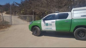 Dos delincuentes mueren en medio de intento de robo en sector rural de La Serena
