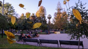 Se viene el adiós al verano: ¿Cuándo comienza el otoño en Chile?