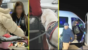 Testigos en la Frontera: ¿Cómo se controlan la frontera marítima y pasos no habilitados entre Chile y Perú?