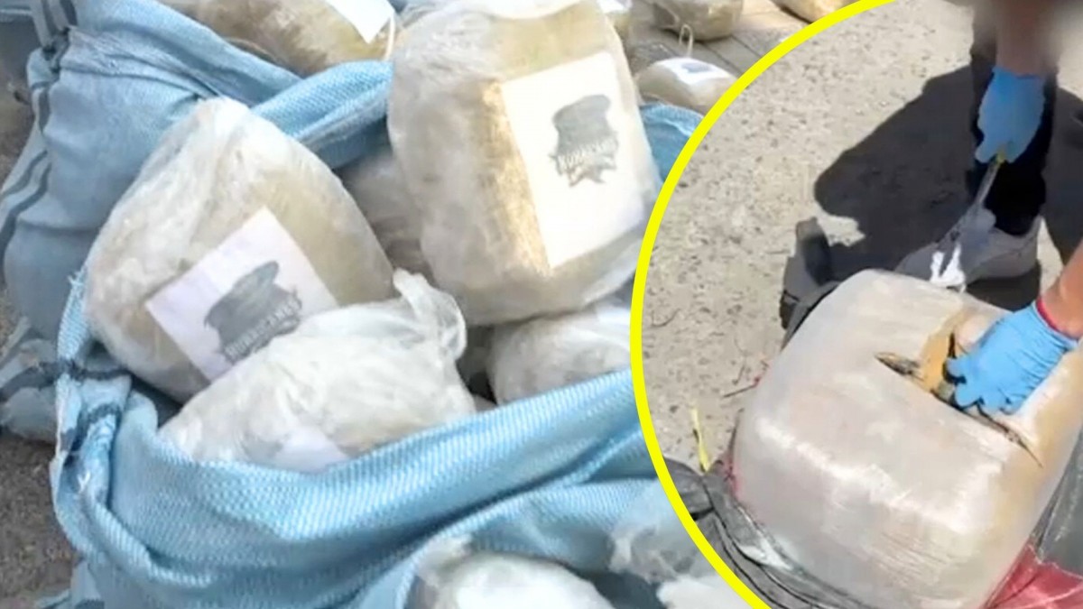 PDI incautó 1.700 kilos de droga que ingresaba desde Bolivia: Hay tres personas detenidas