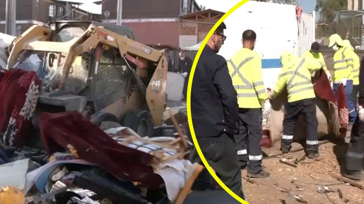 Masivo retiro de rucos en San Bernardo: Operativo interviene en 10 puntos y deja detenidos y decenas de animales rescatados