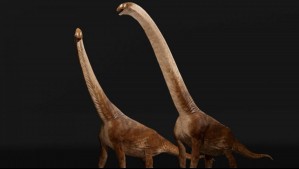 Medía cerca de 20 metros: Científicos hallaron en Brasil restos de un dinosaurio gigante vinculado a Europa