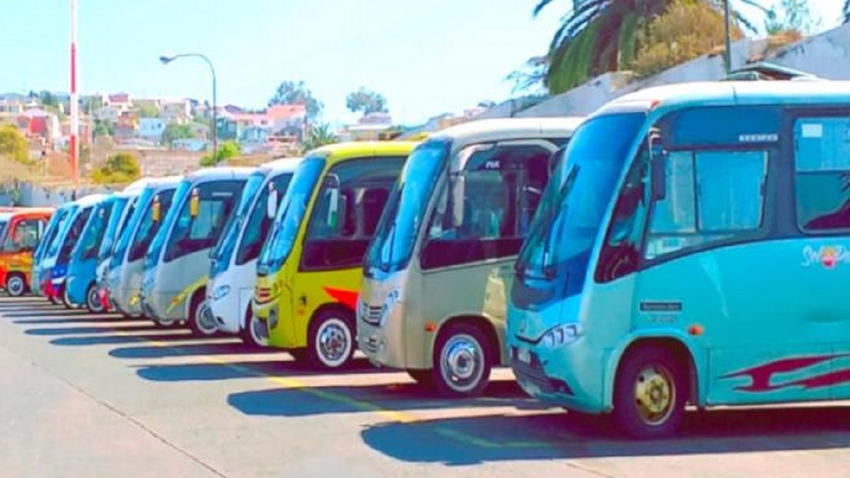 Este miércoles inicia el paro indefinido de micros en la región de Valparaíso: Revisa las comunas afectadas